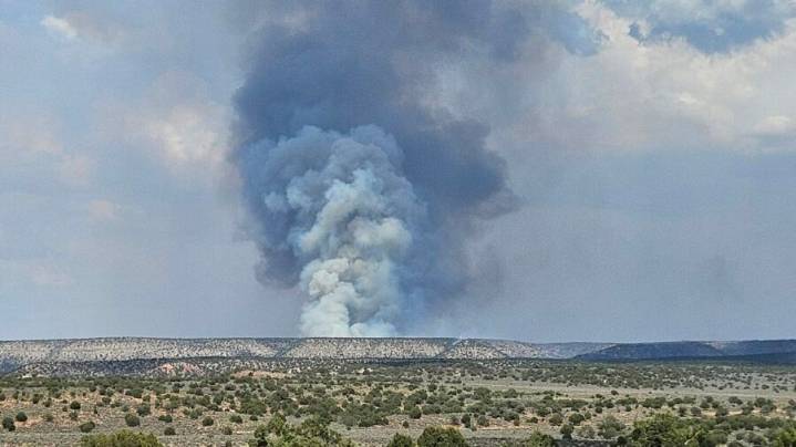 Man helping with hazard tree removal dies fighting Dragon Bravo Fire