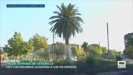 Previsión del tiempo