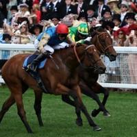Racing betting tax hike will bring 'communities to their knees': Gosden