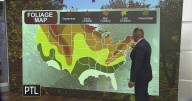 Ron's fall foliage predictions