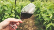 Día Nacional del Vino 2025: ¿Por qué se celebra el 4 de septiembre en Chile?
