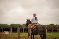 Expansión. Juramento, un gigante del agro en el norte, pagó US$56,4 millones y se quedó con un campo