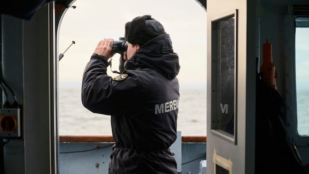 Undersea cables cut in the Red Sea, disrupting internet access in Asia and the Mideast