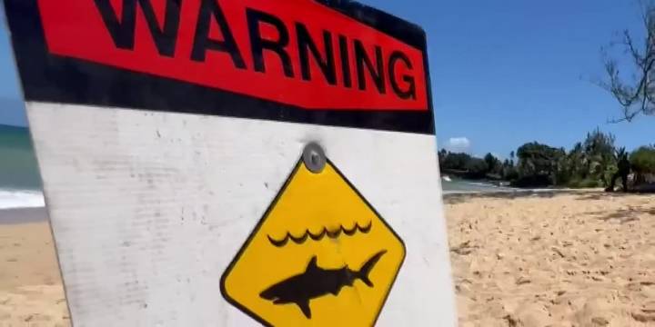 Shark warning posted at Pokai Beach after 10