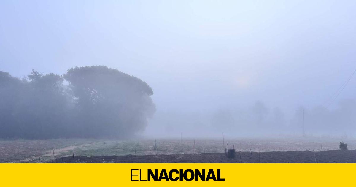 ¿Qué tiempo hará para la Diada de Catalunya? lluvia y paraguas en algunas comarcas