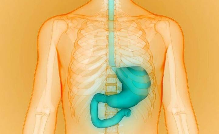 Recommendations Issued for Diagnosing, Managing Gastroparesis