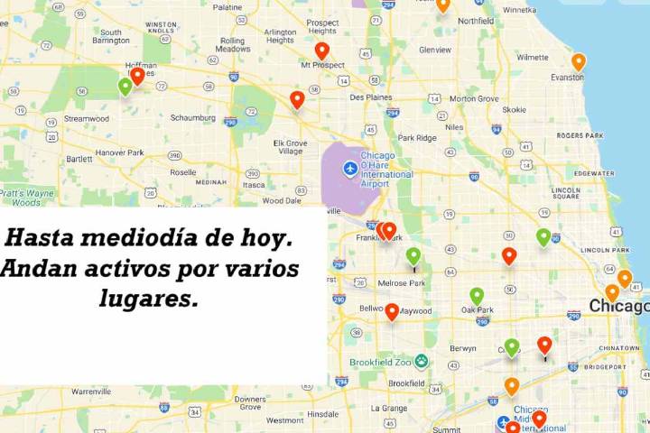 Redadas en Chicago hoy: arrestos y actividad de la migra en Illinois