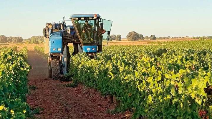Gordoncillo celebra este domingo la llegada del otoño con la Fiesta de la Vendimia y de la Cosecha