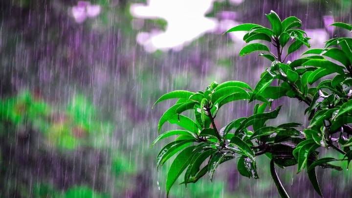 Odisha gears up to face heavy rain, puts districts on high alert
