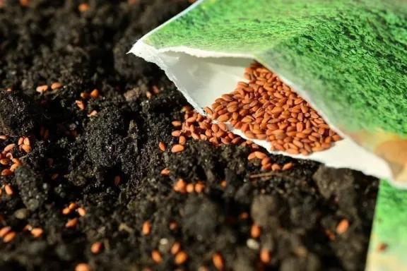 Cipolletti: comenzó la entrega de semillas para la temporada primavera