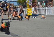 ‘Great pup-kin race’ brings together families for annual Fall Fest
