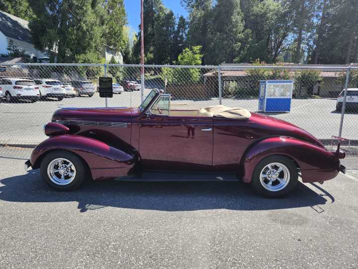 Classic Cars and Cats