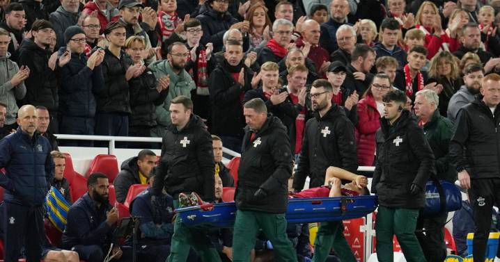 Liverpool defender Giovanni Leoni injured on debut against Southampton