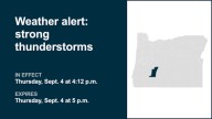 Expect pea-sized hail with thunderstorms in South Central Oregon Cascades Thursday – wind gusts reaching 40 mph