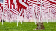 Events honor 9/11 terror attack victims in Philly, Del., NJ