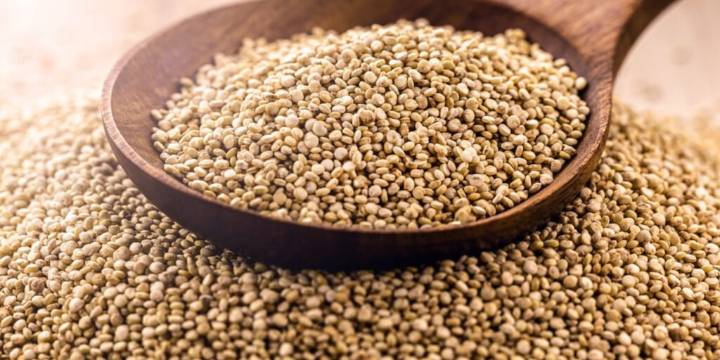 Una nueva quinua argentina que promete transformar los campos de San Juan