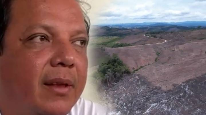 San Martín: Luego de 8 años de juicio, Poder Judicial condena a prisión efectiva a sujetos por talar 14 hectáreas de bosque