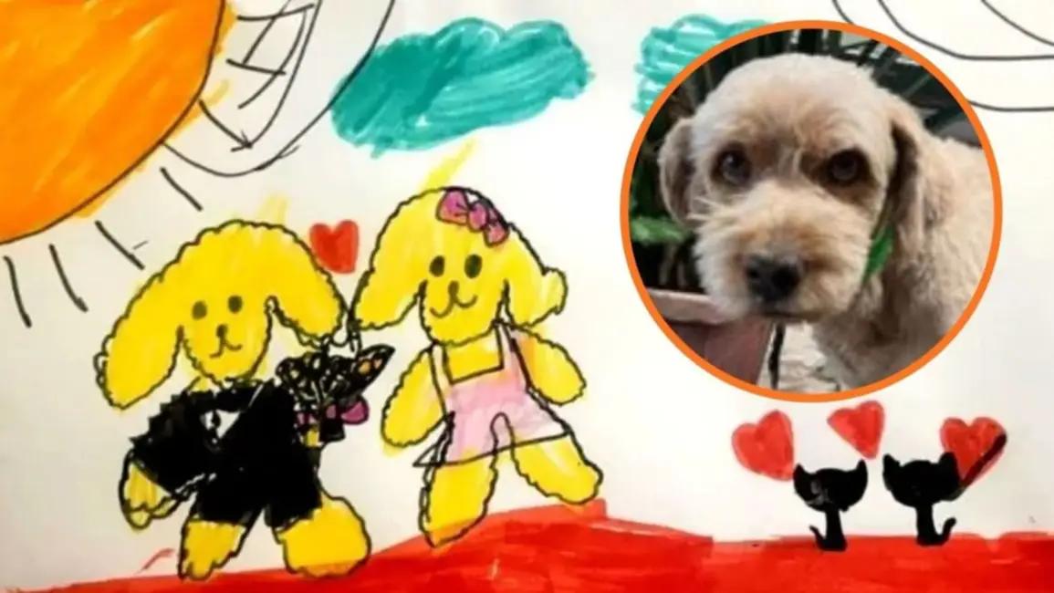 La tierna búsqueda de Luna: la nena salteña que dibuja para encontrar a su perrito Felipe