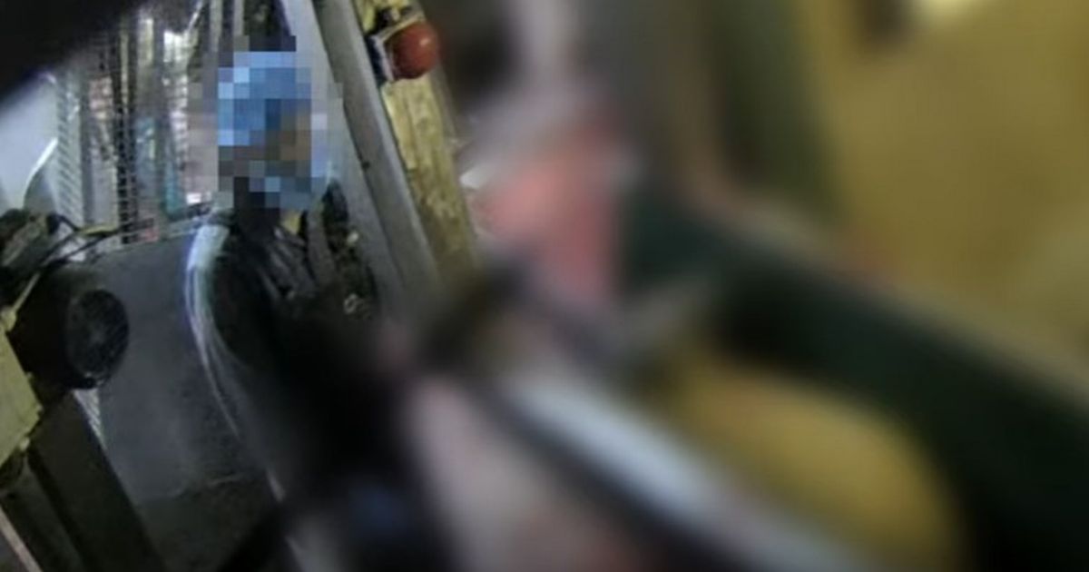 More 'animal abuse' footage emerges at shamed Arley abattoir