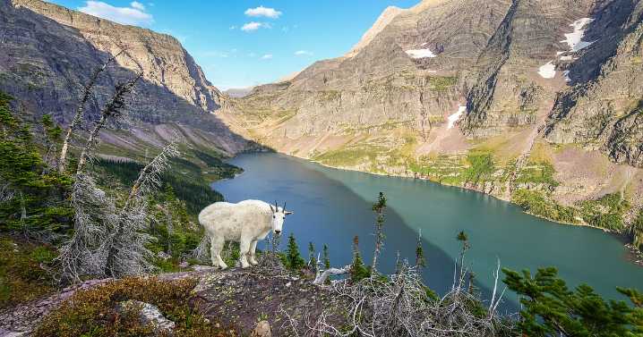 A sublime hike into Sperry Glacier basin