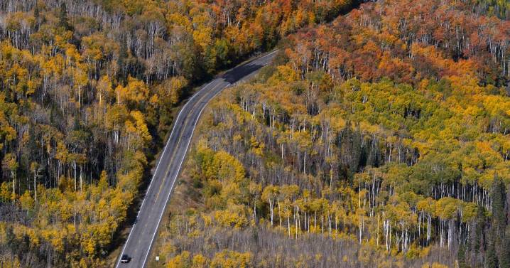 Colorado photographers offer tips and places for fall colors