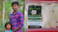 Children turn into mushroom farmers; earn Rs 50,000 per month