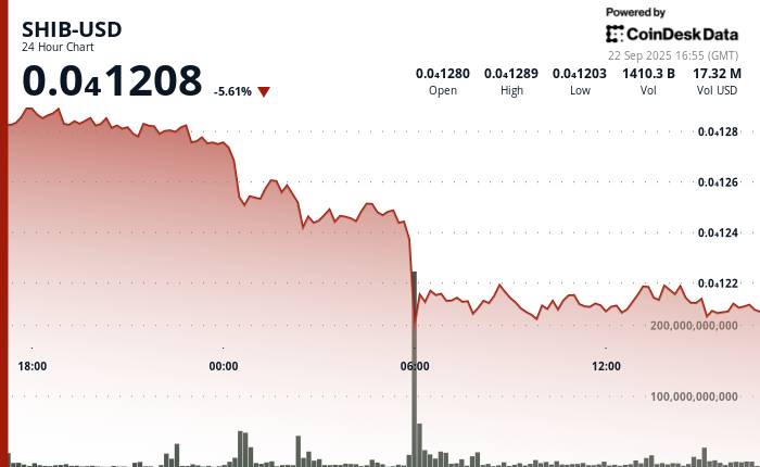 Shiba Inu Tanks 5%, SHIB-DOGE Bounces From Record Lows