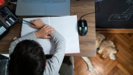 Growth in homeschooling brings safety concerns