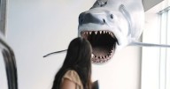 Spielberg celebrates 50th anniversary Jaws exhibition
