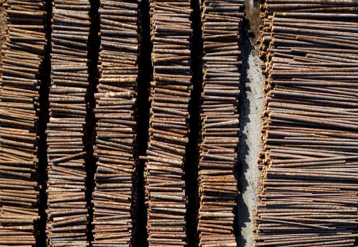 B.C. forestry sector in ‘crisis,’ triggering change in BC Timber Sales