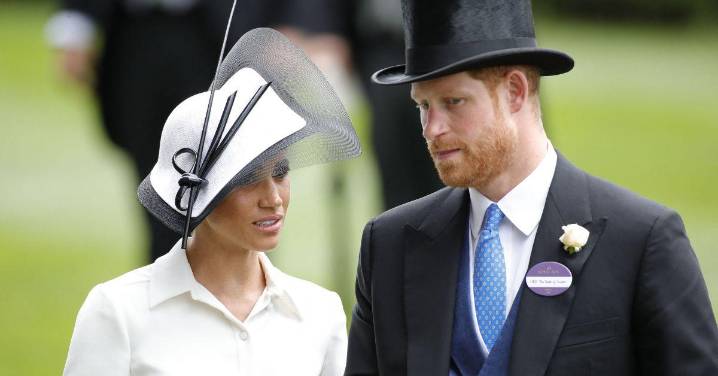 EXCLUSIVE: Prince Harry Fumed After Meghan Markle Boasted He Sent First Love Bomb