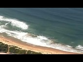 Australian surfer killed in shark attack off Sydney beach