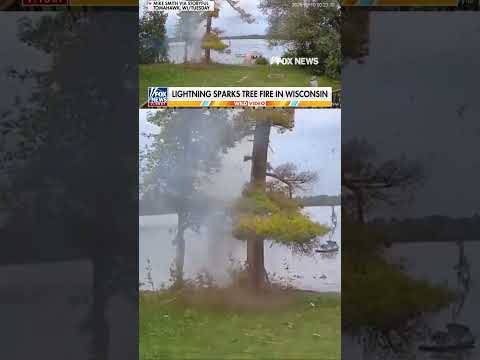 WATCH: Lightning sparks tree FIRE near lake #shorts #foxnews #news #us #viral