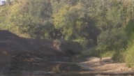 Restoration work underway along Sharon Creek; expected to cost $1.8 million