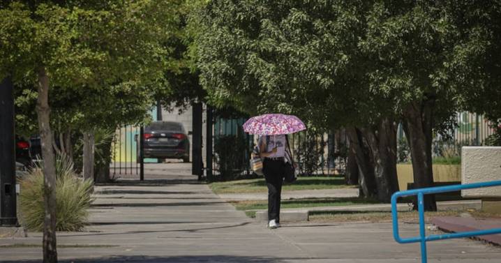 Temperaturas máximas de hasta 38 grados centígrados