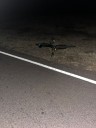 Ciclista herida tras colisión con camioneta en Ruta Provincial 28 cerca de El Portezuelo