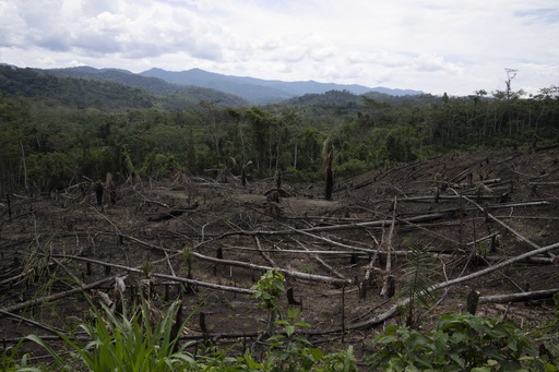 As Amazon's 'flying rivers' weaken with tree loss, scientists warn of worsening droughts