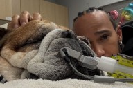 La angustia de Lewis Hamilton por el grave estado de salud de su perro Roscoe
