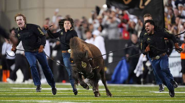 From Ralphie to Uga, live animal mascots inspire fans and create deep connections with their teams