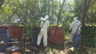 Aseguran 21 Toneladas de Metanfetamina en 2 Laboratorios Vinculados a 'Los Mayos' en Durango