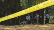 Human remains found in St. Louis investigated as homicide, police say