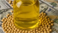 India compró un volumen récord de aceite de soja tras la baja de retenciones