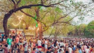 Santa Rosa. Fiesta de la Primavera 2025: actividades, entradas, opciones gratis y cómo llegar