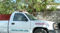 Ataque de Abejas Deja 24 Niños con Picaduras en Telesecundaria de Tamaulipas