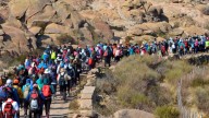 Superación y fe: más de 20 mil personas participaron de la Peregrinación Brocheriana en las Altas Cumbres
