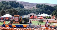 Saturday's 'Discovery Day' at Los Flores Ranch celebrates The Patch
