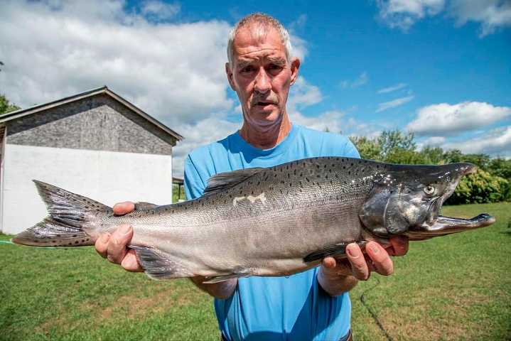 This super-sized salmon just obliterated the New York State record—so why isn’t a state record?