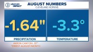 No 'dog days of summer' in Northeast Ohio this year
