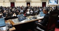 Sesión especial en Diputados: la oposición convocó para tratar dos vetos de Javier Milei el próximo miércoles