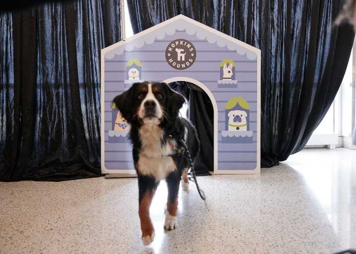 Cleveland Hopkins adds therapy dogs, hidden disabilities pass to new hospitality initiative